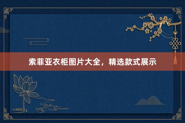 索菲亚衣柜图片大全，精选款式展示